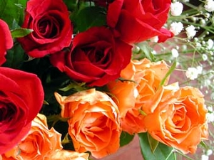 第3回美生活サロン　バラ