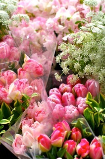 第7回美生活サロンお土産のお花